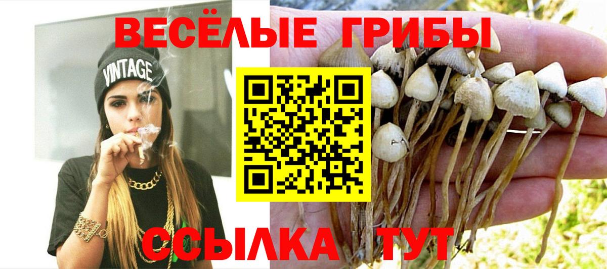 Галлюциногенные грибы прущие грибы  Галлюциногенные грибы Psilocybe  Кинель  Вход с VPN 